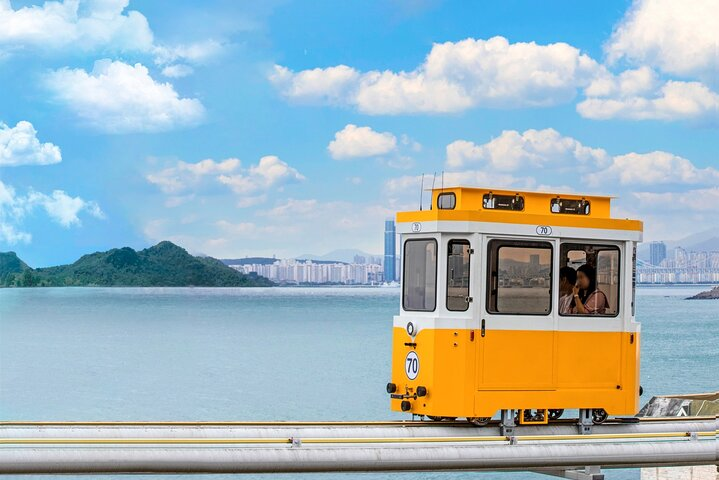 Experience the stunning coastline of Busan as you glide along the sky soaking in panoramic views and the refreshing sea breeze while exploring unique cultural gems nearby.